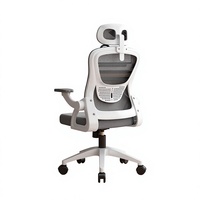 Chaise de bureau ergonomique pivotante, hauteur réglable, roulettes silencieuses en nylon, dossier en maille respirante, maille hautement élastique pour salle de formation