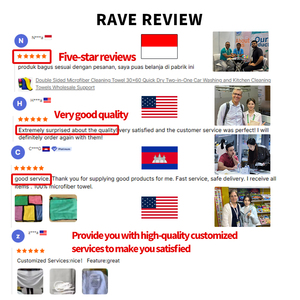 2026 Niedliches Besticktes Korallenvlies Super Saugfähiges Weiches Panda-Handtuch zum Aufhängen für Haushalt, Küche und Bad - Product Image 2