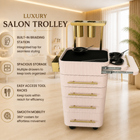 Chariot de rangement roulant haut de gamme pour salon de coiffure, avec 5 tiroirs pour le rangement et l'organisation des outils de coiffure