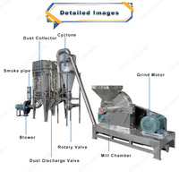 Machine de dépoussiérage d'impulsion de noix de tigre de cajou d'arachide d'amande de noisette de grande capacité