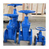 Vanne à opercule en fonte nodulaire DN50-DN2000mm manuelle pour eau à température normale