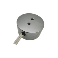 12V/24V/36V DC besi cor bulat pengangkat elektromagnetik 1200N/1400N/2000N pemegang Magnet kecil kuat mengangkat Solenoid