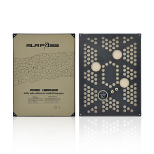 SURPASS IS20 Nuovo Arrivo Altoparlante da Incasso Verniciabile 20W Wireless Full-Range 150-20KHz per Sistema Audio Domestico e Musica di Sottofondo - Product Image 2