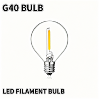 Ampoule à filament LED G40 1W, culot E12, en PC, pour usage extérieur, 220V, 3V, pour guirlandes lumineuses décoratives pour la maison et les jardins
