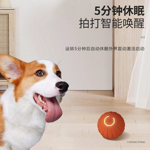 Juguete para Perros con Pelota Rebotante por Gravedad, TPR, Automático, Interactivo - Product Image 3