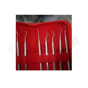 Qualité supérieure De 8 Pièces/ensemble Professionnel Dentaire Gracey Curette Parodontale Curettes Perio - Product Image 4