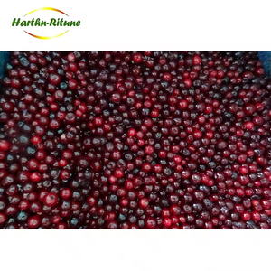 Vente en gros de myrtilles surgelées LQF de qualité supérieure, mélange de fruits certifiés HACCP, 10 kg - Product Image 2