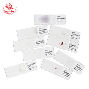 Dix lamelles de spécimens de parasites, spécimens classiques teintés pour l'enseignement supérieur et la recherche, spécimens de parasites clairs. - Product Image 1