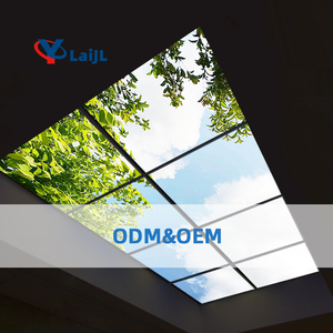 Lumière naturelle 30W 36W 24 pouces 2x2 Zigbee Tuya APP gradation de la lumière du soleil artificielle 6060 <span class=keywords><strong>Led</strong></span> Sky Plafonnier pour <span class=keywords><strong>sous</strong></span>-<span class=keywords><strong>sol</strong></span> - Product Image 4