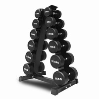 Support de Rangement Commercial et Domestique pour Haltères en Acier à 5 Niveaux en Forme de A, pour Poids de 9,5 kg, Accessoire d'Équipement de Fitness