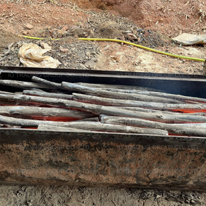 Charbon de bois naturel de longane et de litchi pour chaudières industrielles - Formes de branches et de morceaux - Product Image 2