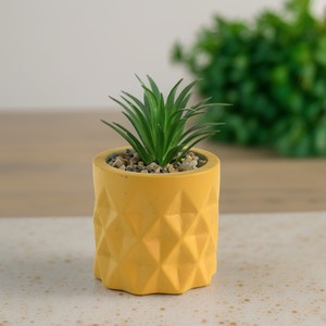 Suculentas artificiales en maceta de cemento Pequeña planta de <span class=keywords><strong>cactus</strong></span> artificial <span class=keywords><strong>para</strong></span> estante de sala de estar - Product Image 4