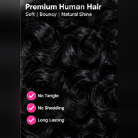 Perruques courtes bouclées en cheveux humains pour femmes, perruque pixie bouclée, perruque entièrement fabriquée à la machine