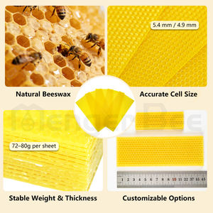 แผ่นรังผึ้งสำเร็จรูป MengerBee ใหม่สำหรับขายส่ง - ผลิตจากขี้ผึ้งธรรมชาติ 100% ขนาด/น้ำหนักตามสั่ง ขนาดเซลล์ 5.4 มม./4.9 มม. สีเหลือง สำหรับใช้ในเชิงพาณิชย์ - Product Image 3