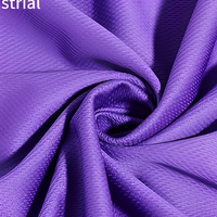 Tissu Purple Birds Eye 100% polyester, textile 130 g/m², 160 cm, tissé pour vêtements de sport