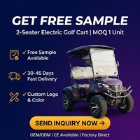 Carrito de Golf Eléctrico de 2 Personas con Batería de Litio, Color Morado, Suspensión Independiente MacPherson, Ruedas de Aleación Todoterreno, Tecnología Patentada OEM