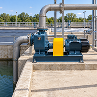Pompe auto-amorçante résistante aux produits chimiques de la série ZW pour le traitement des eaux usées, pompes de transfert d'eau industrielles robustes à haute efficacité