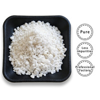 Perlite de haute pureté non toxique pour substrat de culture de semis – Remise sur les commandes importantes pour les fermes commerciales de semis et les fournisseurs de plantes fleurs