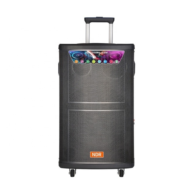 NDR-515 Bosinas Amplificada 15" Bt Speaker extra Bass Outdoor Karaoke Trolley Speaker With Wireless Mic 15 Inch Speaker 100 Watt