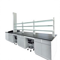 Banc de travail en acier pour laboratoire avec armoires de rangement pour produits chimiques, idéal pour hôpitaux, écoles et entrepôts