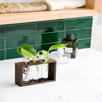 Grand kit de support en bois pour terrarium de bureau et jardinière de coupe hydroponique Vase à fleurs en verre pour la propagation des plantes