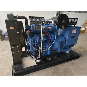 Weifang Ricardo 62.5 KVA generatore diesel 50kw generatore elettrico centrale elettrica motore Weifang 3 fase generatore Diesel silenzioso