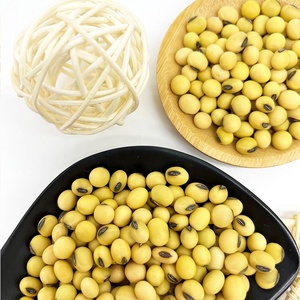 Grains <span class=keywords><strong>de</strong></span> <span class=keywords><strong>soja</strong></span> crus <span class=keywords><strong>de</strong></span> haute qualité, en sachet, graines <span class=keywords><strong>de</strong></span> <span class=keywords><strong>soja</strong></span> en vrac biologique pour aliments - Product Image 5
