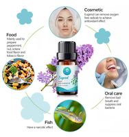 Huile d'Eugénol en Gros pour Usine, Marque Privée, 100% Pure, Naturelle, Biologique, Méthyl Eugénol Dentaire, Échantillon Gratuit d'Eugénol