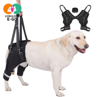 Sangle d'assistance réglable et robuste pour pattes arrière, en polyester, pour chiens âgés à mobilité réduite