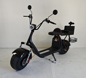 Scooter de <span class=keywords><strong>golf</strong></span> électrique intelligent 2000W, pliable, étanche, avec GPS, 2 places, pneus larges, de l'usine chinoise Loyal - Product Image 1