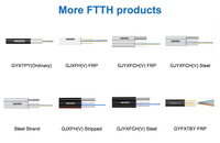 Wholesale Prices Fiber Optic Splicing Machine Price Core Ftth Gjyxfh(v)stripped Fiber Optic Light Cable