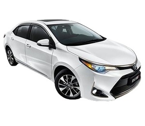 SUV intermédiaire 4 roues respectueux de l'environnement Ralink Pure 4 portes 5 places Vitesse 180 km/h 85 kW Grand SUV écologique - Product Image 2