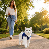 Harnais et laisse réfléchissants écologiques pour chat, en velours doux, anti-évasion, gilet de promenade pour petits chats/chatons, réglable, léger, 7 tailles