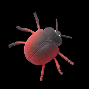 Juguete Antiestrés de Insecto Artificial 3D, Juguete Sensorial para Aliviar el Estrés, Recuerdo de Fiesta, Venta al Por Mayor OEM - Product Image 6