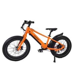 QUEENE/ Vélo d'équilibre électrique pour enfants à pneus larges, vélo pour enfants, 20 pouces, frein à disque, alliage d'aluminium, vélo d'apprentissage, 5-12 ans - Product Image 1
