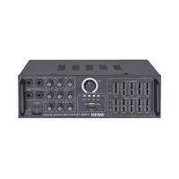 Penguat Audio penjualan terbaik penguat Mini Hifi Equalizer Stereo 2 saluran 20 watt untuk rumah