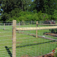 Clôture en Treillis Métallique Galvanisée pour Bétail, Chevaux, Moutons, Chèvres, Pâturage et Élevage Porcin