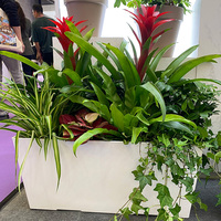 Jardinières décoratives en plastique Pots de fleurs Pots de fleurs grand vitrage extérieur pas cher grande taille utilisé avec fleur/plante verte forme ronde