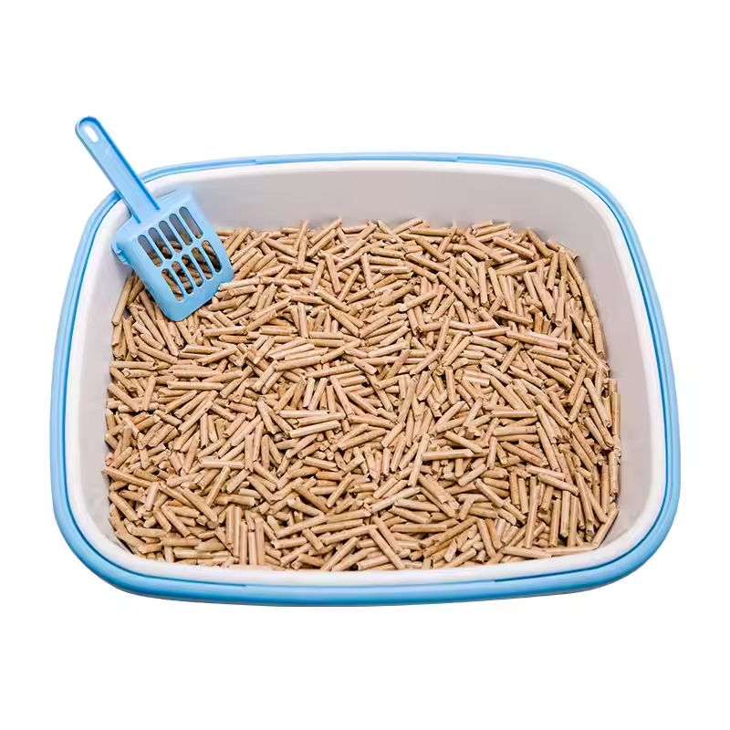 Complete Guide to Tofu Cat Litter: Brands, Usage, Reviews Buying Tips 2026