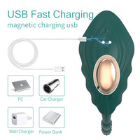 Honey Love Tragbares Frauen-Sexspielzeug - 9-Gang-Vibration Kabellose Fernbedienung via App USB Magnetisches Aufladen Modell LX-0238