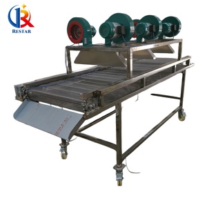 Máquina de Lavado <span class=keywords><strong>y</strong></span> Secado de Frutas <span class=keywords><strong>y</strong></span> Verduras, Tipo Soplado de Aire, para Eliminar la Humedad Superficial, Transportador de Secado por Aire - Product Image 6