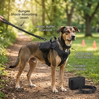 Ensemble de harnais tactique pour animaux de compagnie, sac de rangement, laisse élastique, collier anti-explosion, adapté à l'entraînement des chiens et aux promenades quotidiennes en plein air