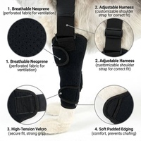 Nouvelle attelle carpienne respirante pour pattes avant de chien, antidérapante, pour soins des plaies et récupération des blessures, écologique et durable, en polyester PETSGUARD