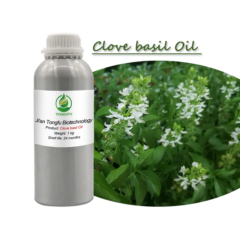 Massage Olie Natuurlijke Plantaardige Extract 100% Pure Basilicum Olie Kruidnagel Basilicum Essentiële Olie Voor Huid