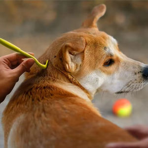 Produits de nettoyage et de toilettage pour animaux Joysing : Outil efficace pour l'élimination des <span class=keywords><strong>puces</strong></span>, des acariens et des tiques chez les animaux - Product Image 2