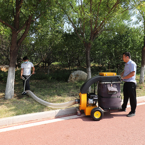 Máquina de Succión de Hojas de Alta Eficiencia BY-T2 de 5.5HP y 250L, Recolector de Hojas para Jardín y Carreteras Urbanas - Product Image 4