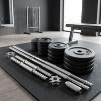 Ensemble d'haltères réglables en fonte avec poignée amovible, peinture émaillée, poids de fitness pour entraînement à domicile