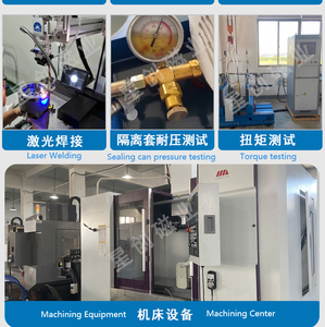 220V 33CC 20 높은 작동 온도 고압 기어 펌프 Hitemparature 펌프 유형 Cn Wmk 마그네틱 드라이브 샤프트 커플링 - Product Image 6