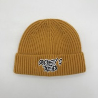 Fabrikant Warme Eenvoudige Y 2K Beanie Hoed Geboeid Nieuwe Mode Custom Hiphop Streetwear Winter Zachte Muts