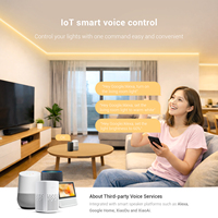 Contrôleur LED intelligent SP530E SPI + 6CH PWM tout-en-un IoT Wi-Fi compatible Alexa Google Home avec synchronisation musicale DC 5V-24V pour 12 éclairages